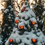 christmas tree with snow