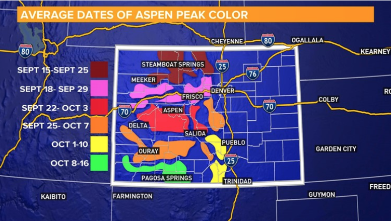 Peak Fall Folliage in Aspen Colorado